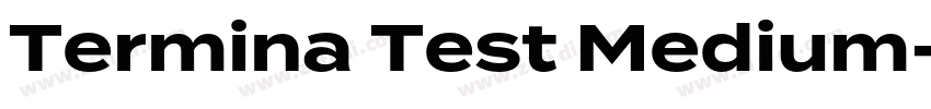 Termina Test Medium字体转换